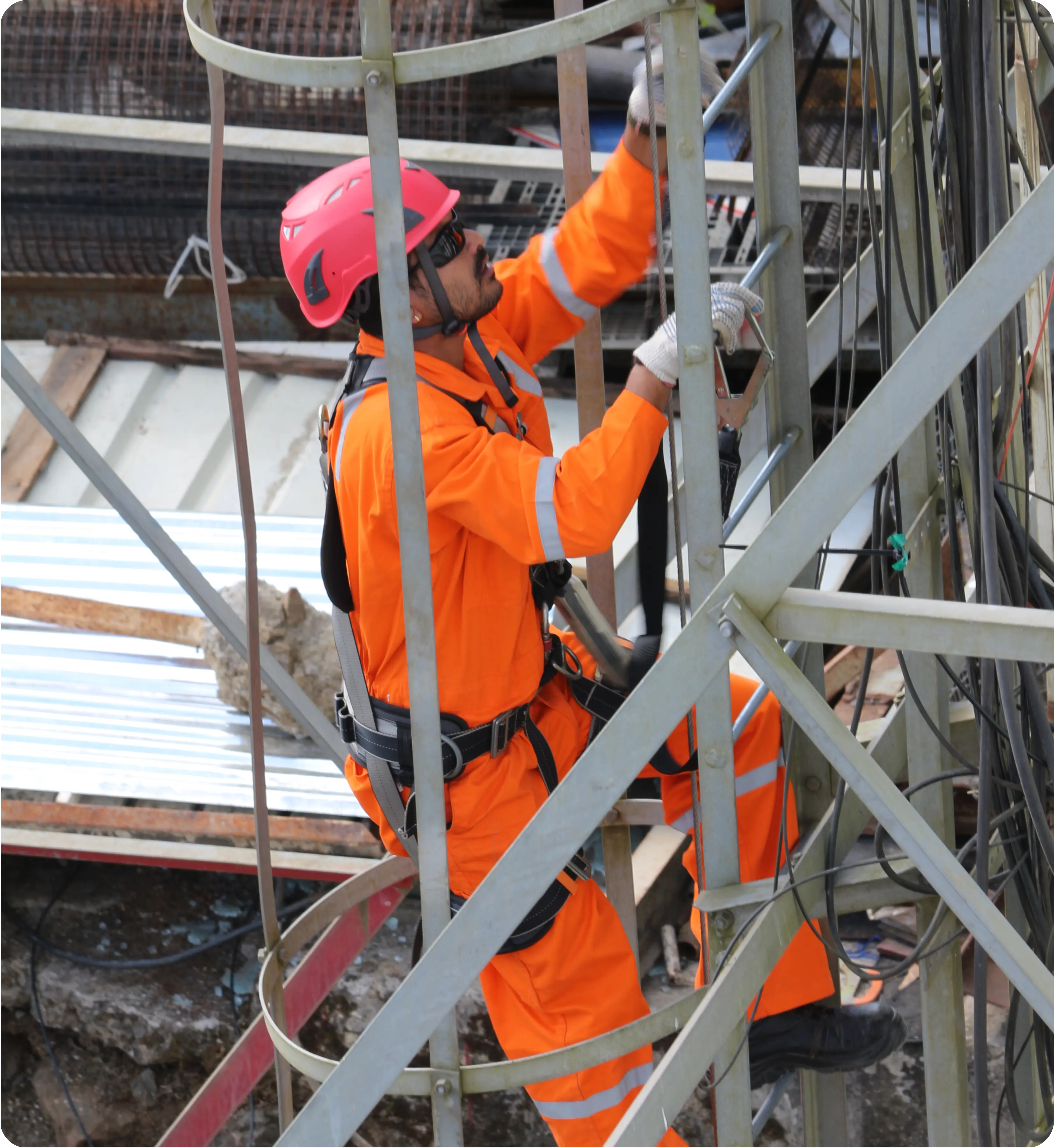 Lifeline Vertical System