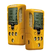 Portable gas detector